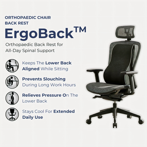 ErgoBack™ – Orthopedic Chair Back Support