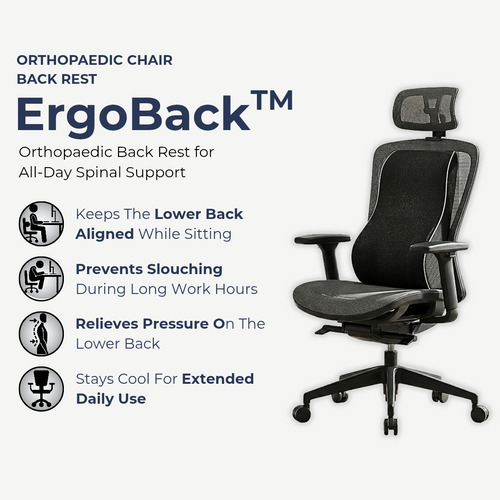 ErgoBack™ – Orthopedic Chair Back Support